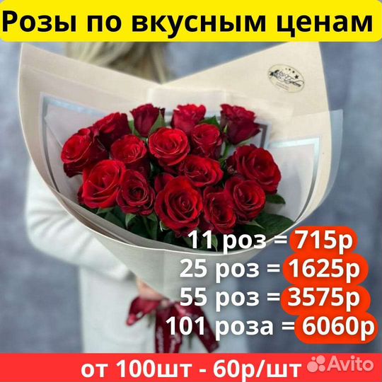 Розы Цветы