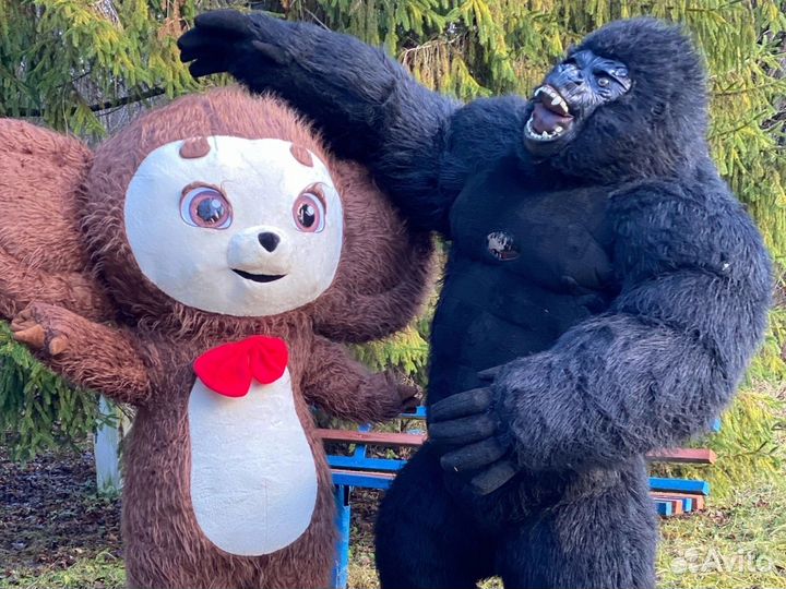 Экспресс поздравление Аниматор