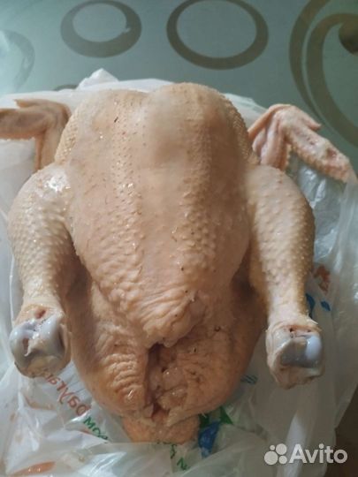 Мясо домашней птицы