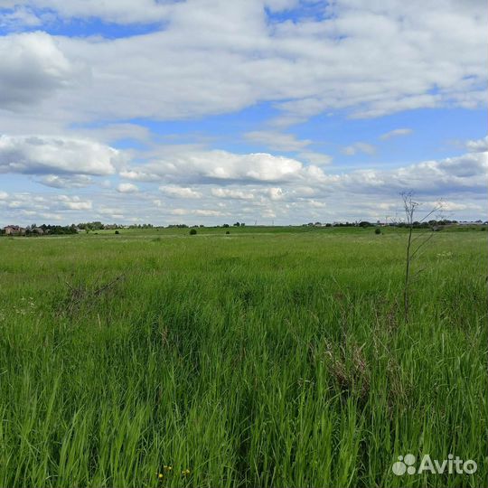 Помогу купить участок