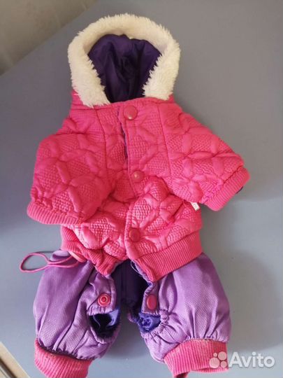 Комбинезон для маленькой собачки