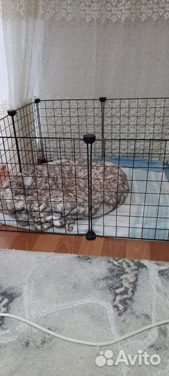 Клетка вольер для животных