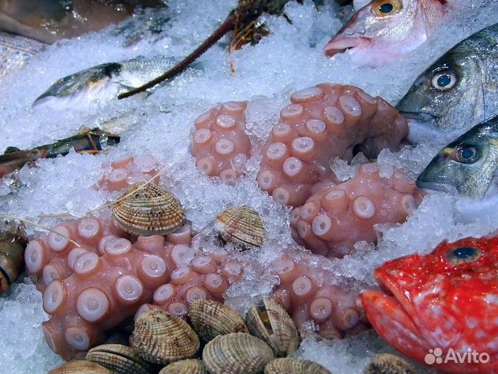 Гибкая франшиза магазина с ассортиментом