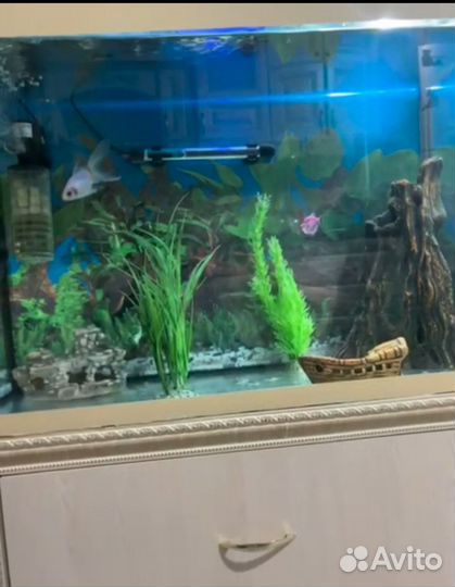 Аквариум с тумбой