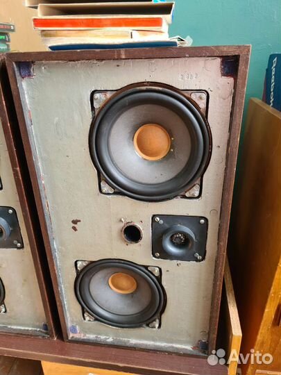 Самая Редкая Акустическая Система Корвет