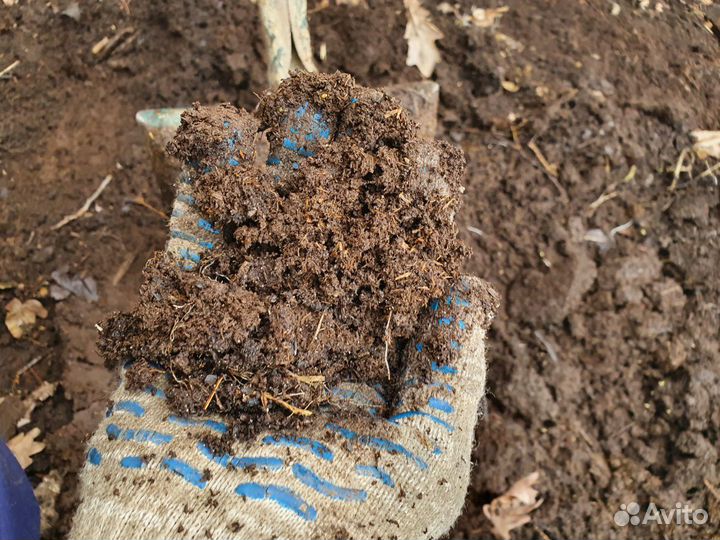 Биогумус Вермикомпост