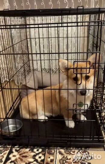 Клетка для собак
