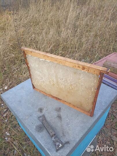 Рамки с вощиной