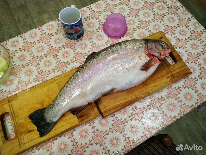 Форель охлажденная
