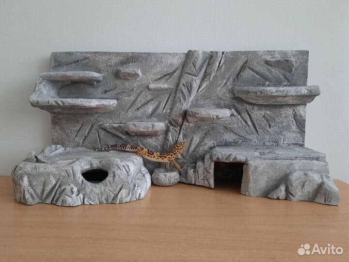 Фон для террариума + укрытие + влажная камера