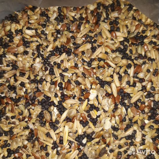 Корм для канареек и диких птиц