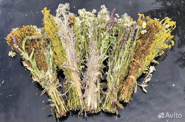 Травы для бани