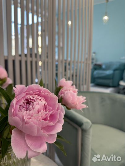 Мастер маникюра