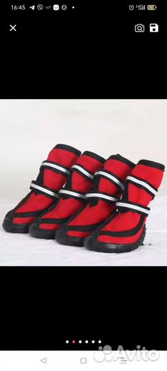 Ботинки для собаки новые