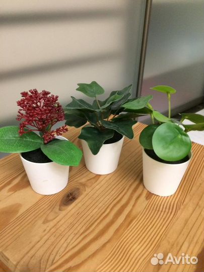 Искуственные цветы IKEA fejka