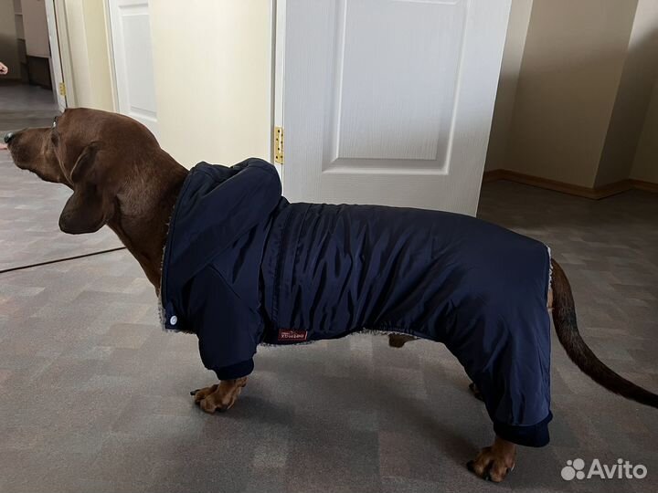 Зимний костюм для собак