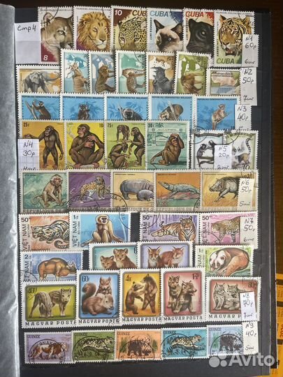 Почтовые марки на тему «Фауна» + динозавры