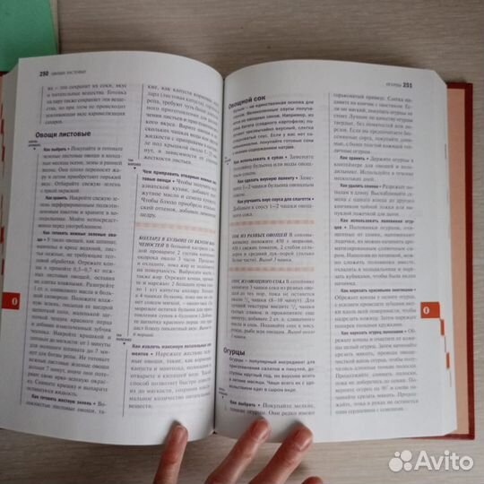 Большая кулинарная книга