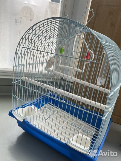 Клетка для птиц