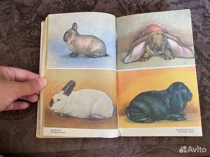 Справочник кроликовода 1988 год