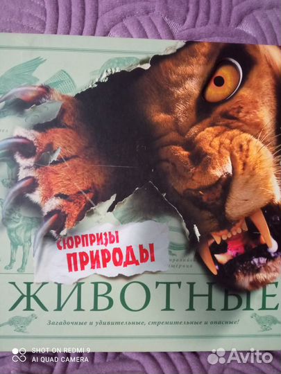 Детская энциклопедия