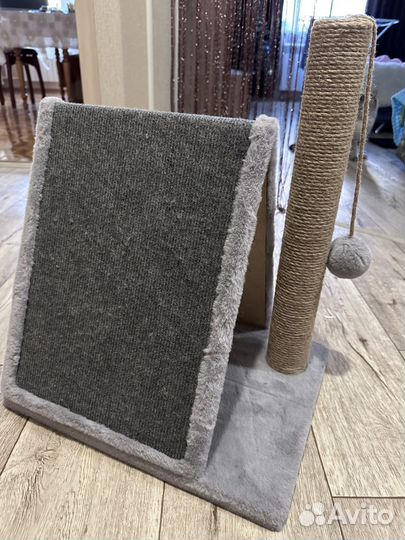 Когтеточка