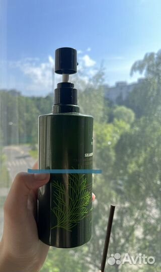 Vieso лаванда, кипарис, перилла