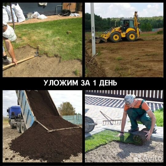 Элитный живой газон в рулонах в Железнодорожном