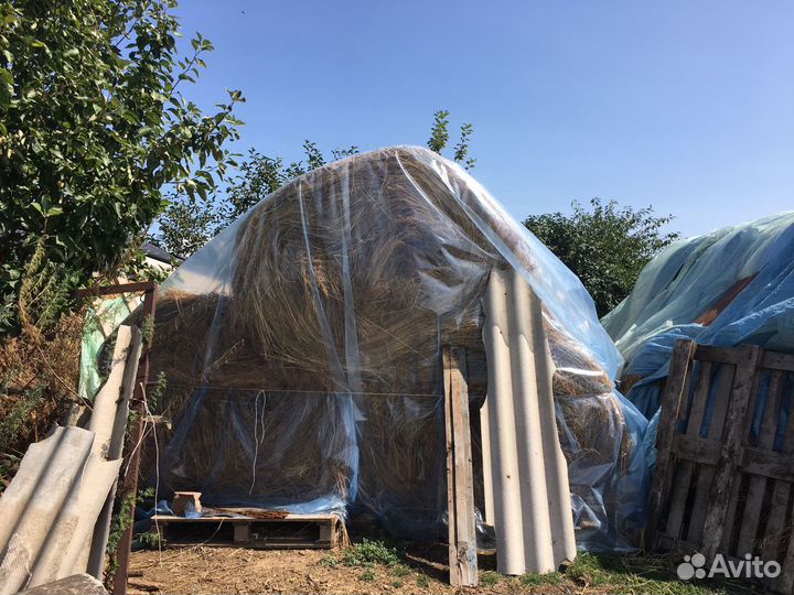 Сено в тюках