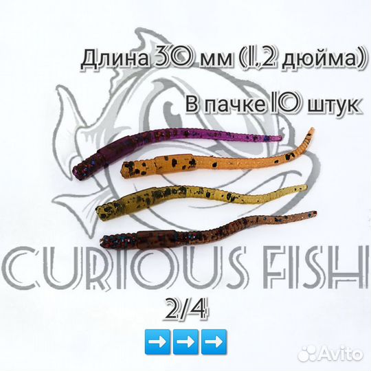 Curious fish akemi 1,2 дюйма (30мм)