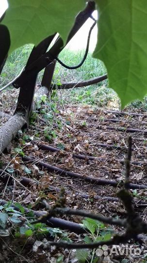 Пку-0.8-4 вилы для сена