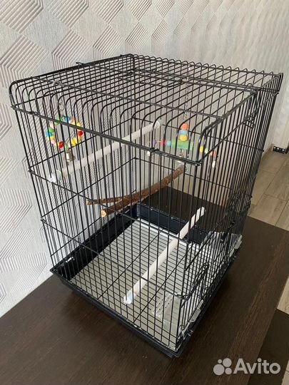 Клетка для попугая корелла