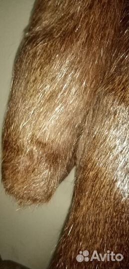 Шуба нутрия