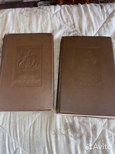 Книги жизнь животных