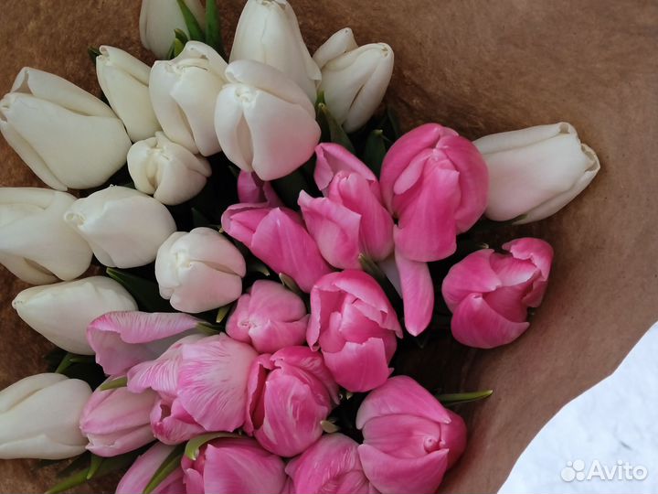 Тюльпаны к 8 марта и 14февроля