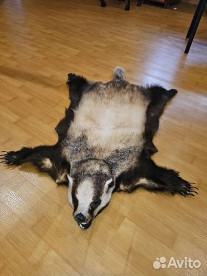 Ковёр из Барсука