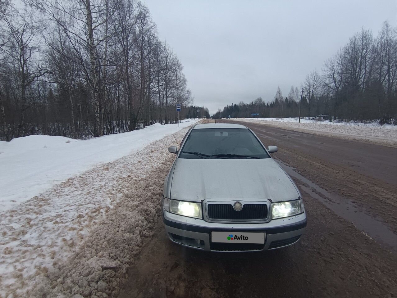 Skoda Octavia: фото владельца