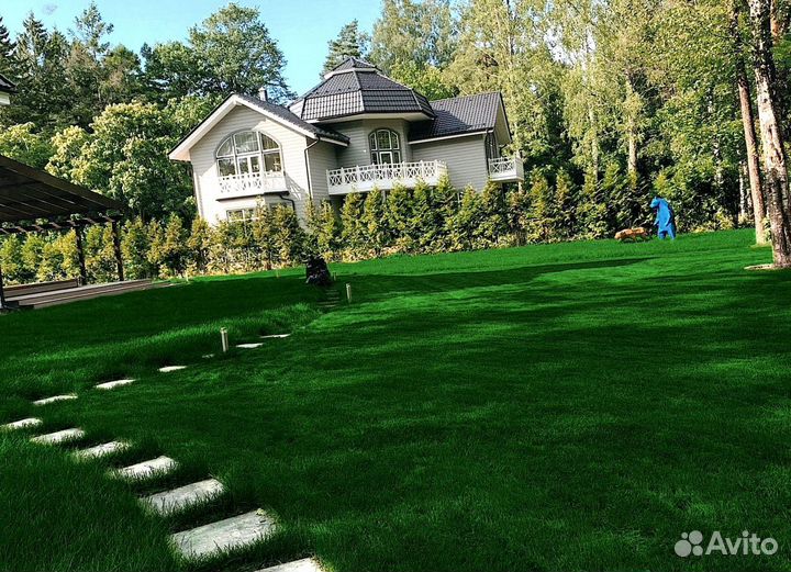 Рулонный газон