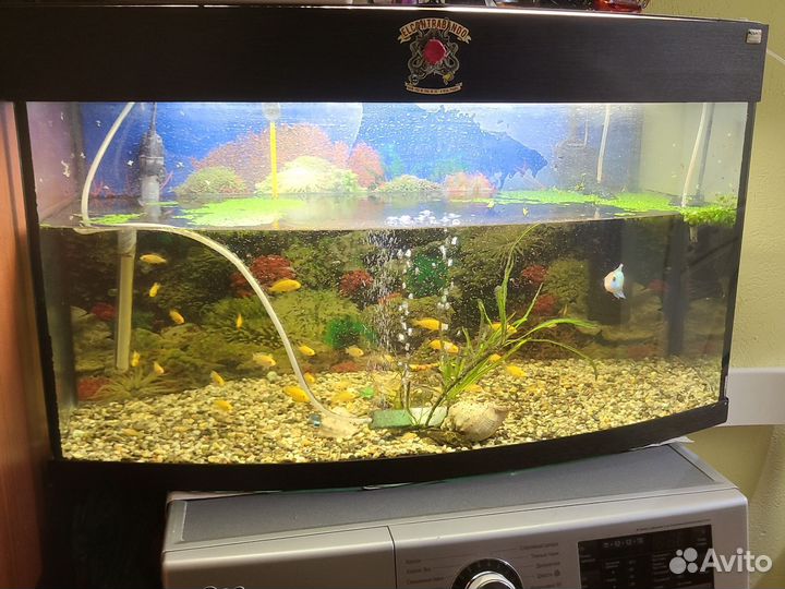 Аквариум с тумбой и рыбками