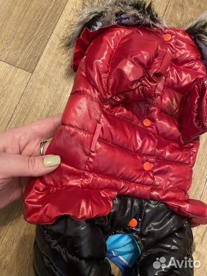 Комбинезон для собаки