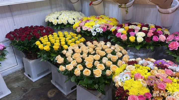 Доставка цветов / Цветы / Гортензии