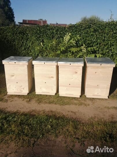 Улья для пчёл
