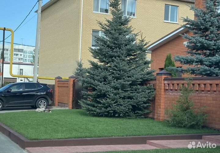 Рулонный газон «Де Люкс»