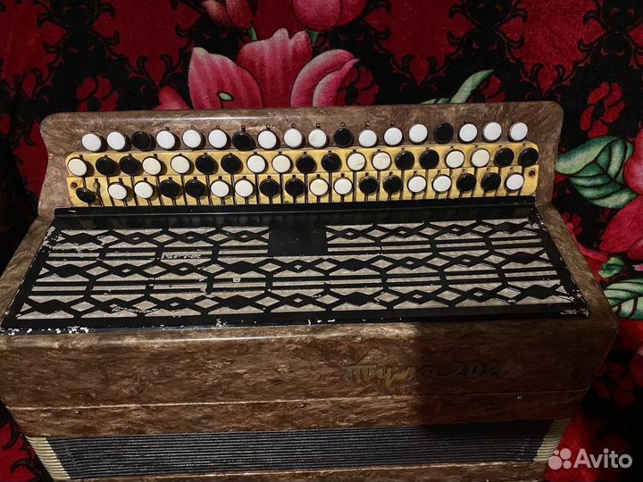 Баян Тула 202