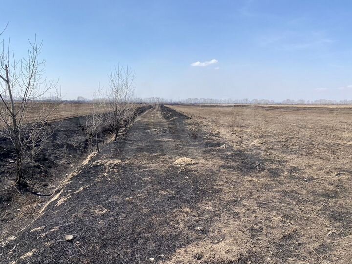 Участок 5,6 га (СНТ, ДНП)