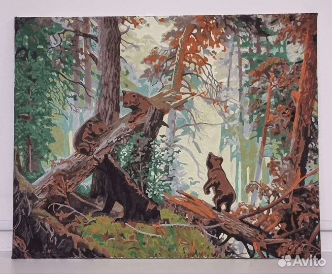 Картина по номерам раскрашенная, готовая