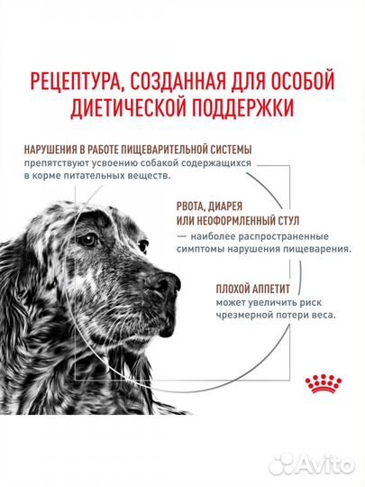 Лечебный корм для собак Royal Canin Gastrointestia