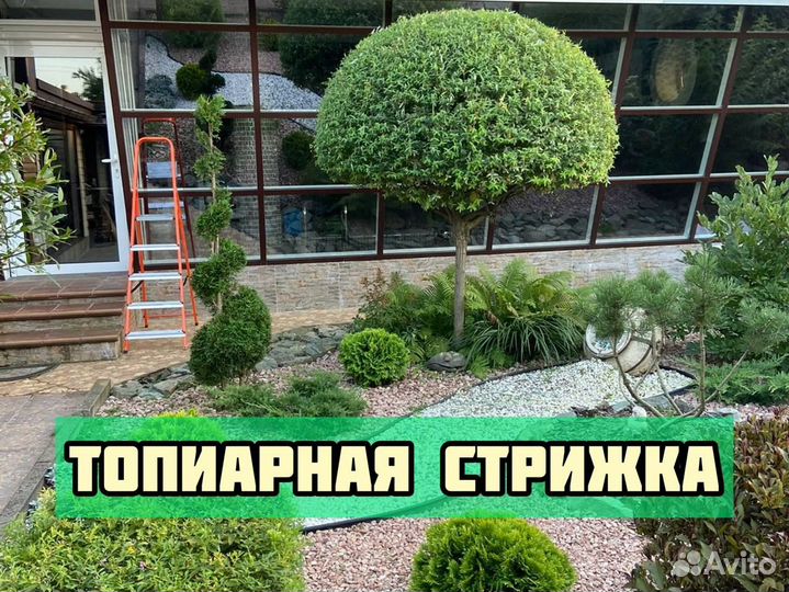 Садовник, Стрижка деревьев и кустарников, изгороди