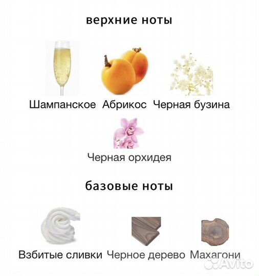 Pink molecule zarkoperfume распив молекула