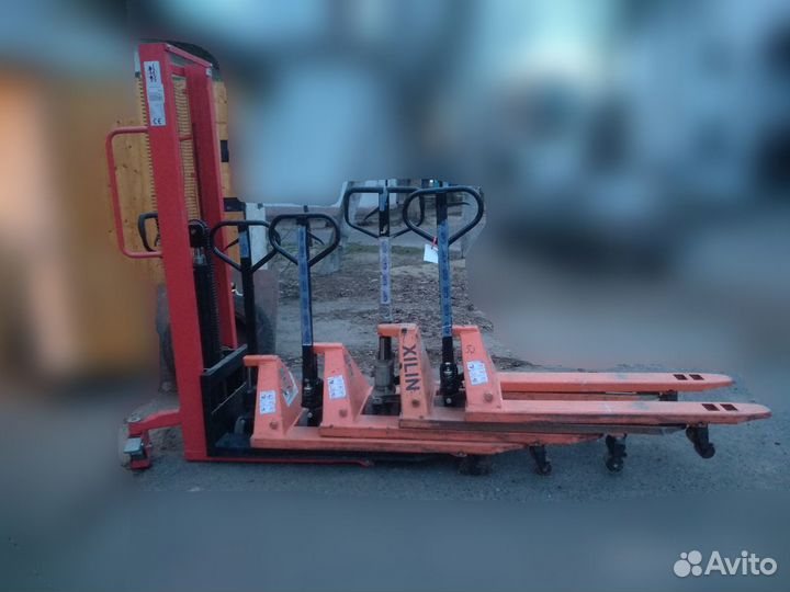 Рохля в аренду